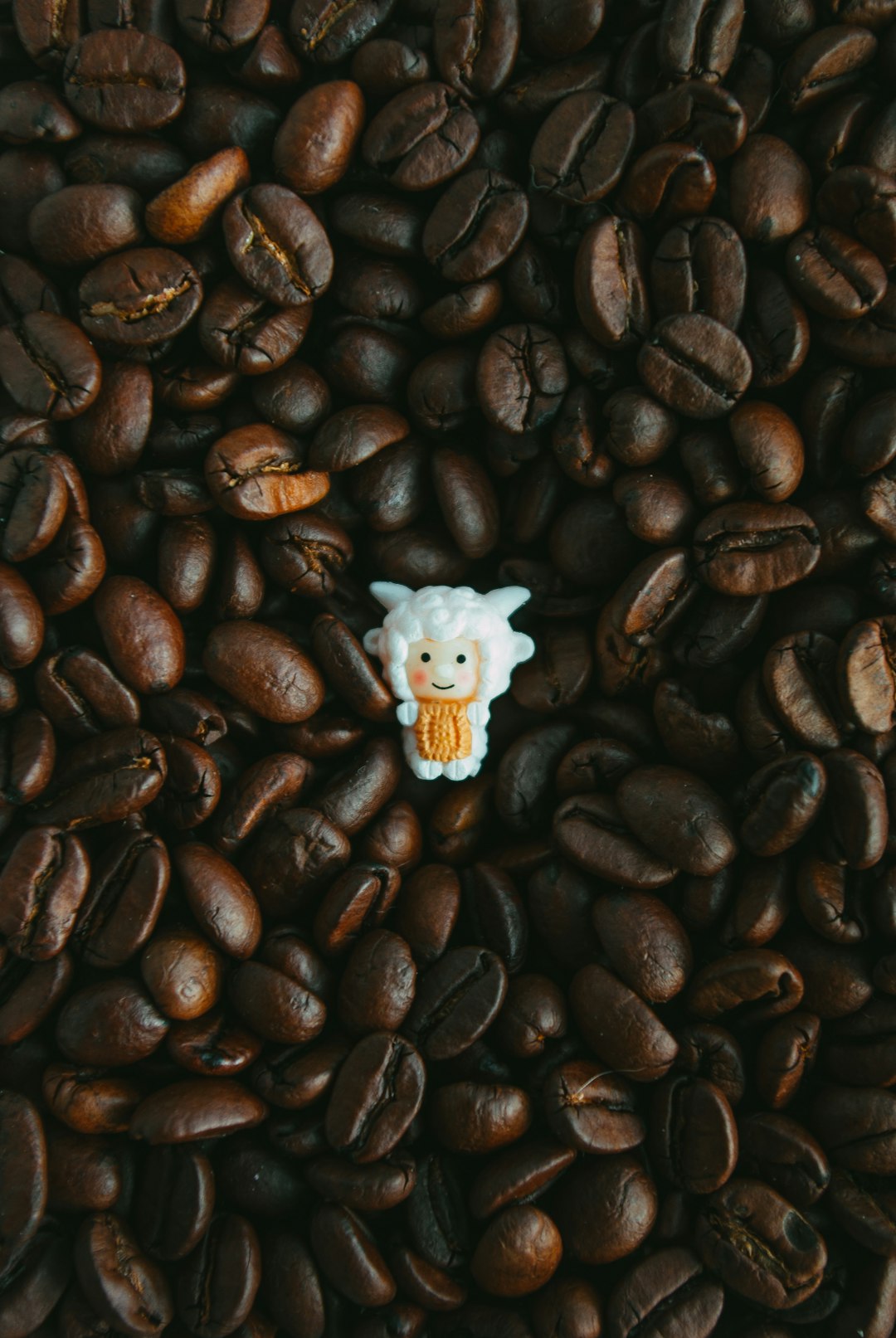 The Global Quest for the Perfect Cup: A Journey Through History, Origins, and Varietals - Image 3